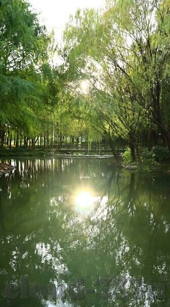 九妖手游app下载-探索九妖手游，沉浸式体验与无限想象的数字世界